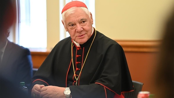 Cardinal Gerhard Ludwig Müller, a Caucasian man wearing clergy robes speaks to listeners in the foreground.